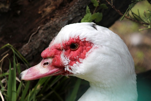 我们也在凯 我们也在凯