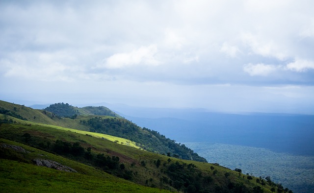 都能够快速 都能够快速