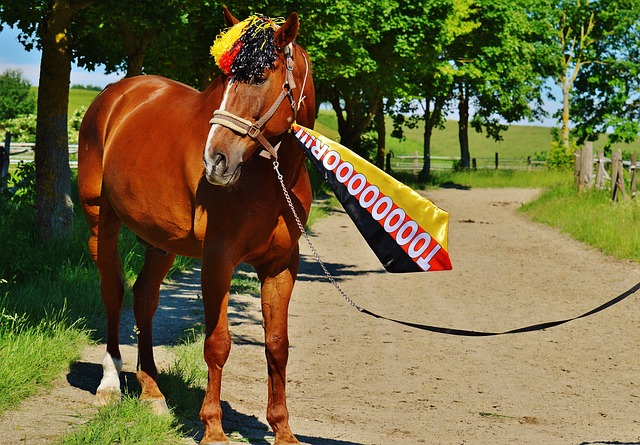 许多知名球 许多知名球