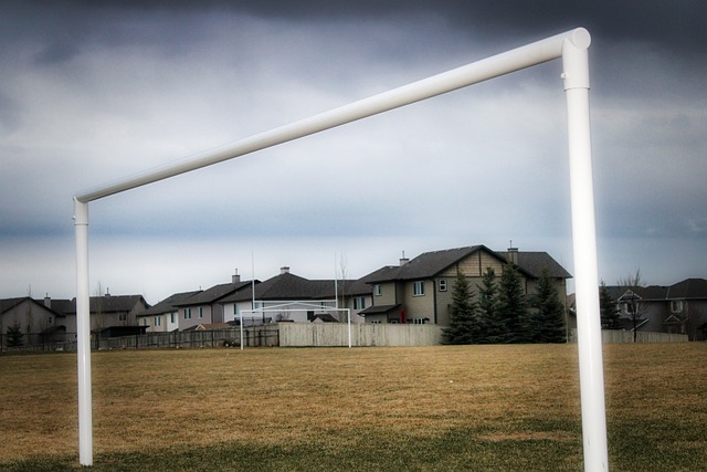 主力得分問 主力得分問