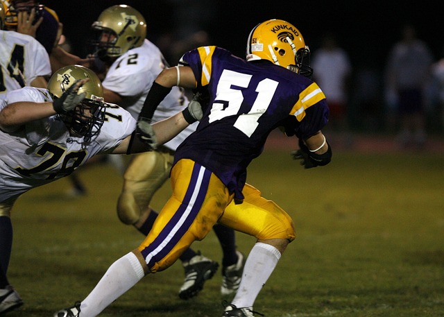 眾說紛紜 眾說紛紜