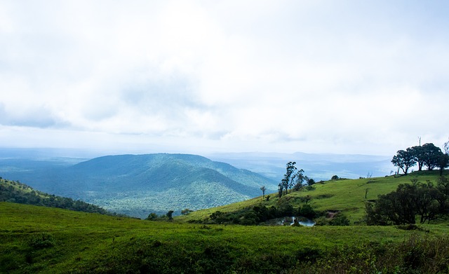 他在关键时 他在关键时