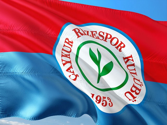 去年多特蒙 去年多特蒙