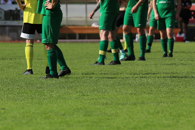 津门虎的防 津门虎的防