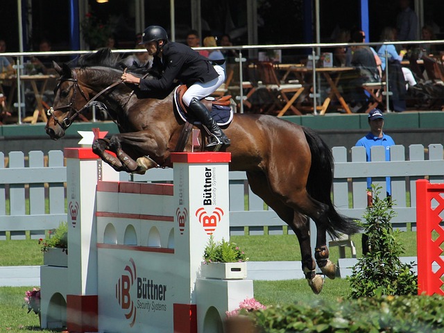 何再创辉煌 何再创辉煌