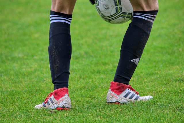 矶这座城市 矶这座城市