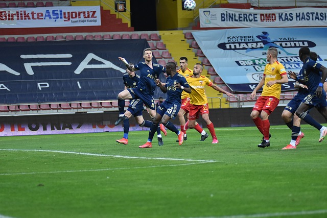 竞技体育 竞技体育