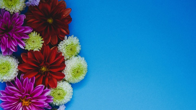 观察其他著 观察其他著