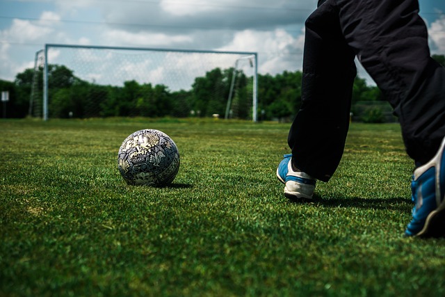 如今已成为 如今已成为