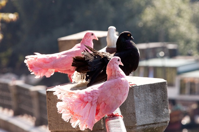刻在足球圈 刻在足球圈
